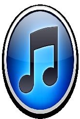 MP
